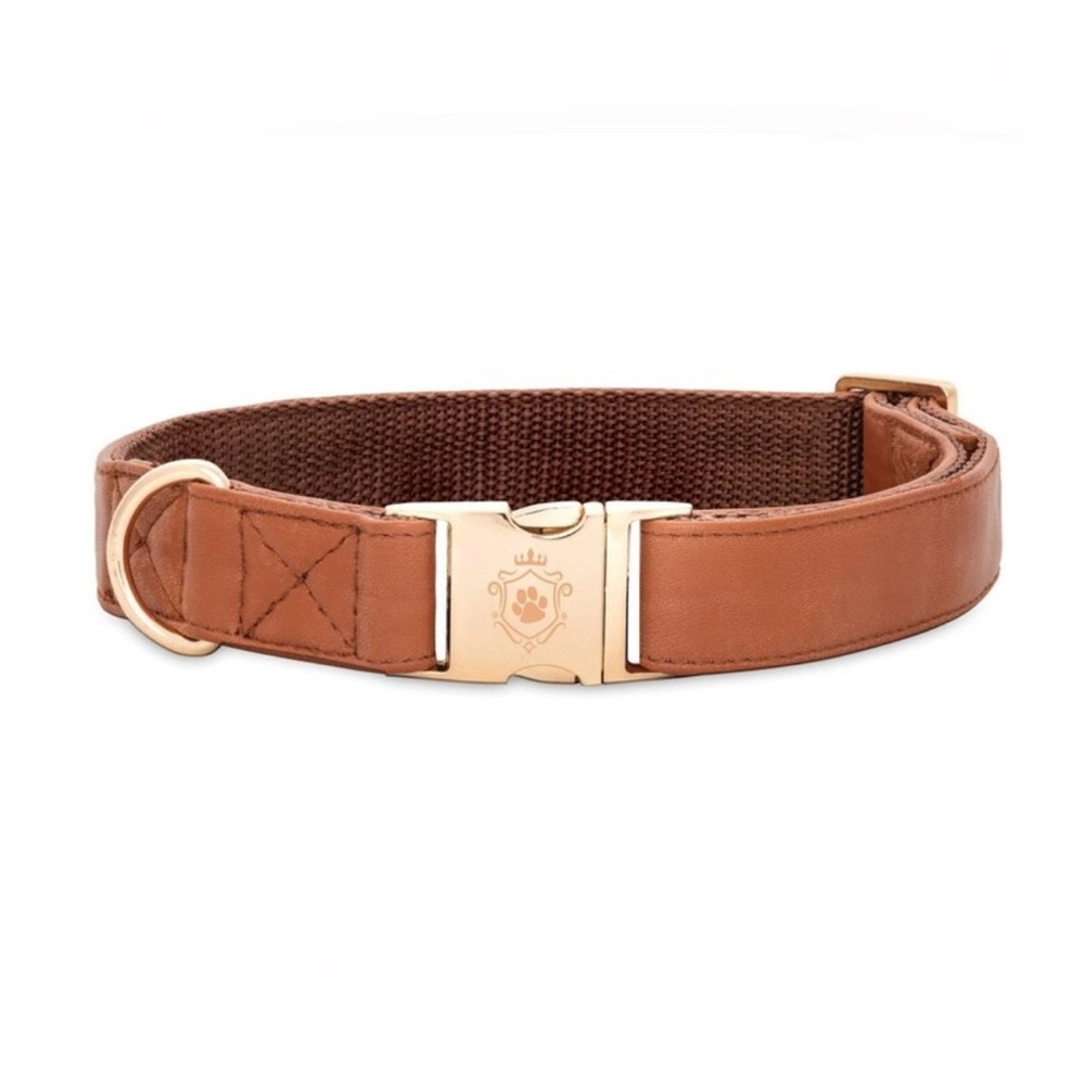 Dog collar, faux leather with a heavy duty yellow gold metal hardware finish.